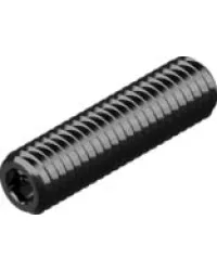 DIN913 Винт М10*16 устан 45Н БП INB пл.кин
