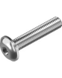 ISO7380-2 Гвинт М4*10 бурт А2 INB